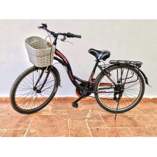 Bike 21