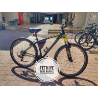 Bike 14