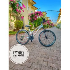 Bike 36