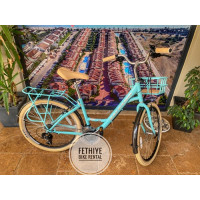 Bike 22 Bike 22