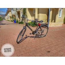 Bike 33