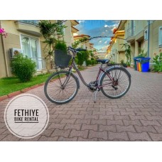 Bike 34