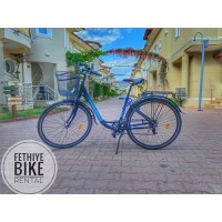 Bike 31