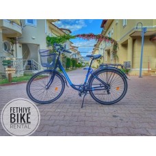 Bike 31